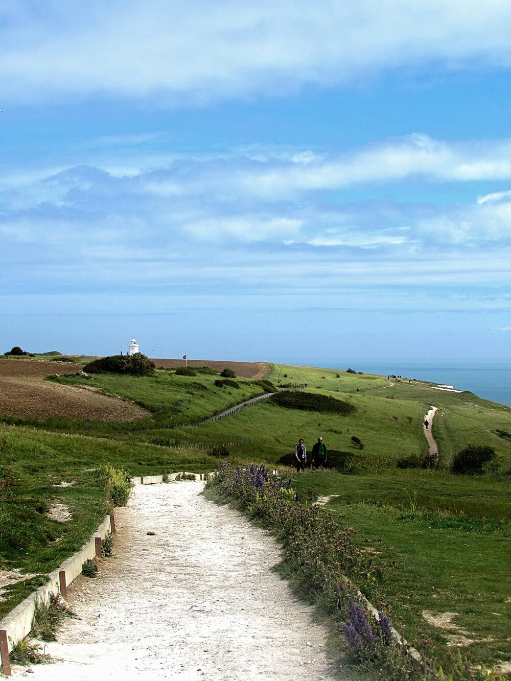 Dover